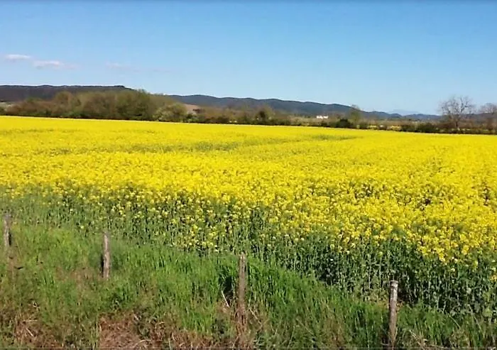 Casa Lenzi * 폴로니카